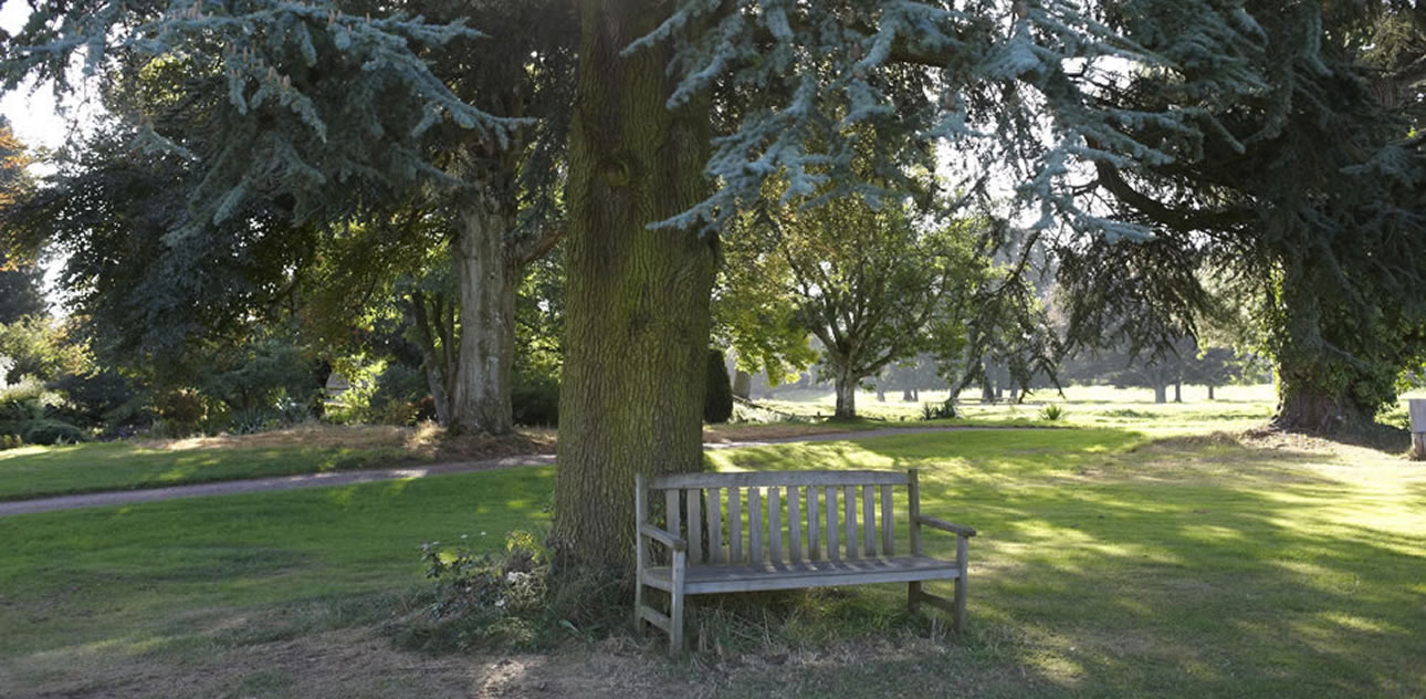 Bench Bench
